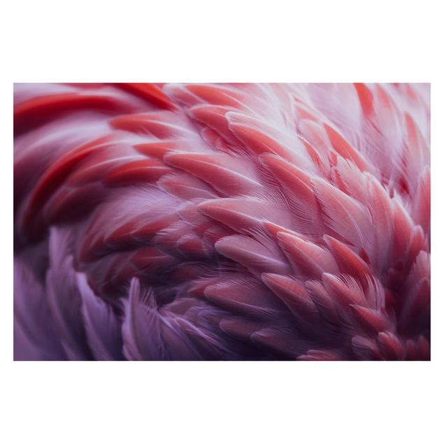 Wallpapers modern Flamingo Feathers Close-Up