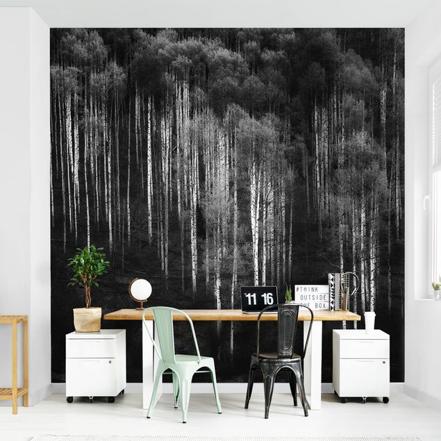 Black and white aesthetic wallpaper Birch Forest In Aspen