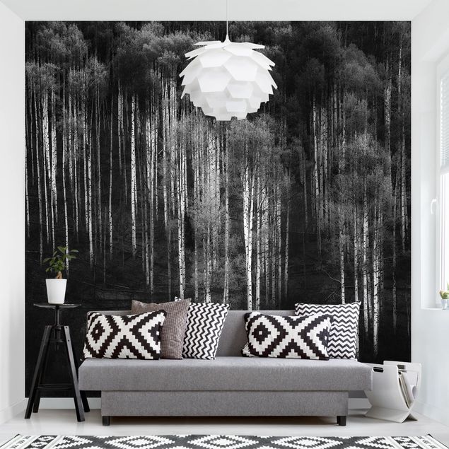 Modern wallpaper designs Birch Forest In Aspen