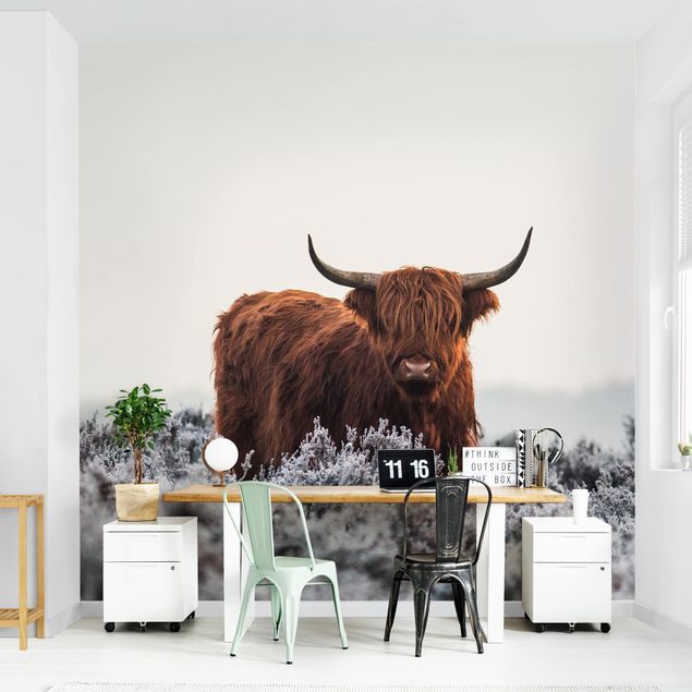 Wallpapers animals Bison In The Highlands