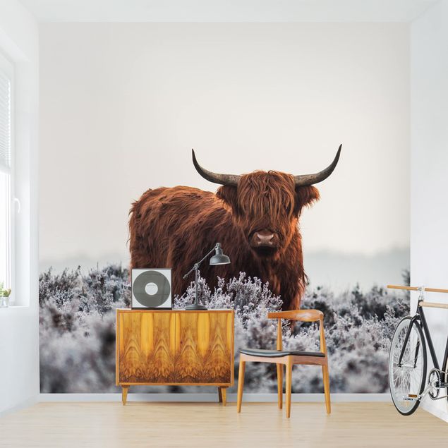 Wallpapers modern Bison In The Highlands