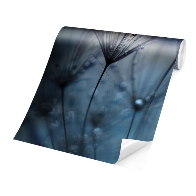 Self adhesive wallpapers Blue Feathers In The Rain