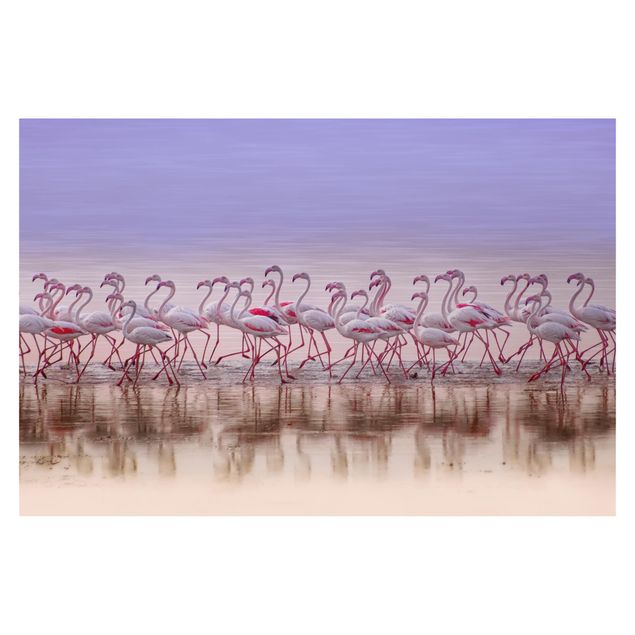 Aesthetic pink wallpaper Flamingo Party