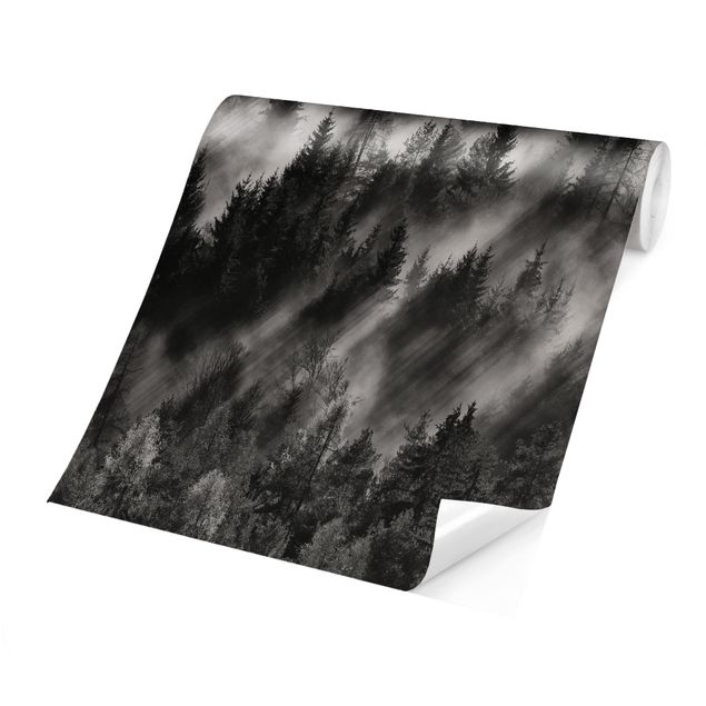 Self adhesive wallpapers Light Rays In The Coniferous Forest