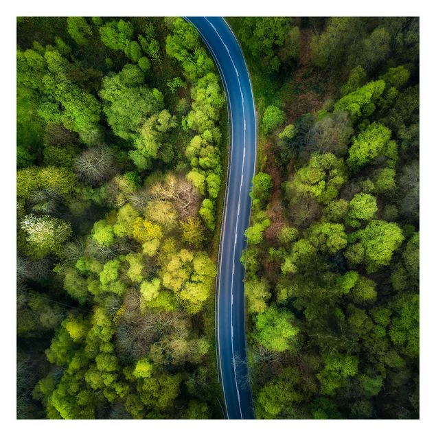 Peel and stick wallpaper Aerial View - Asphalt Road In The Forest
