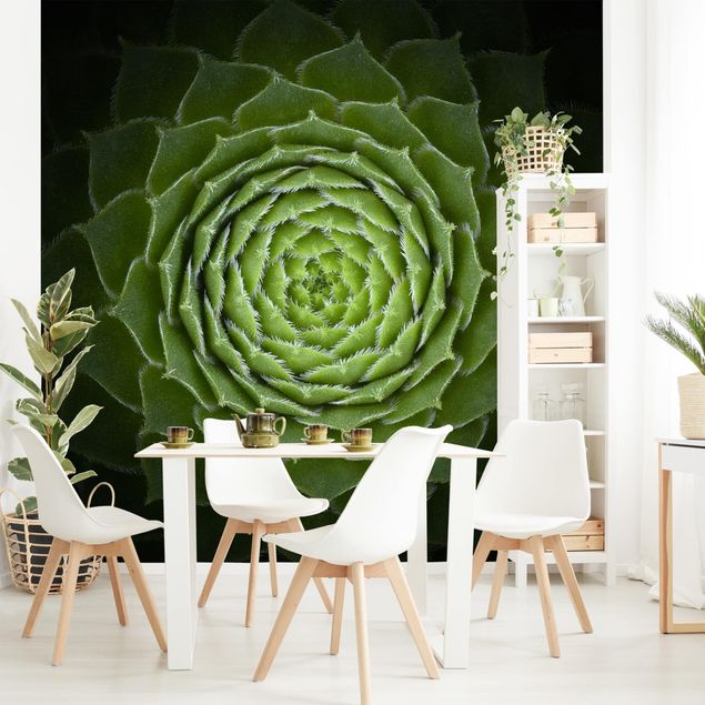 Modern wallpaper designs Mandala Succulent