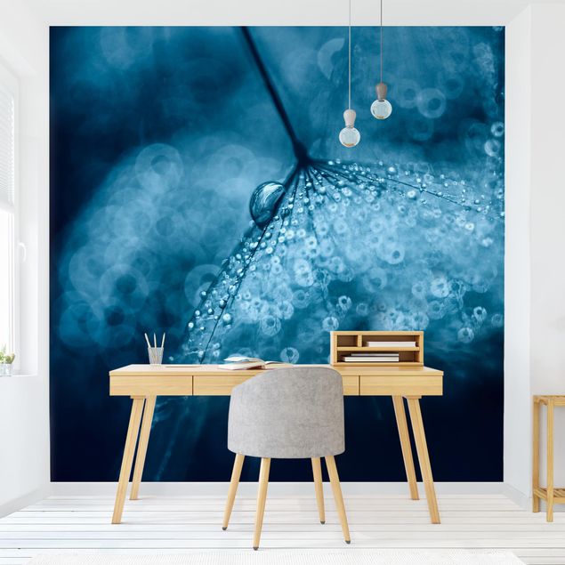 Modern wallpaper designs Blue Dandelion In The Rain