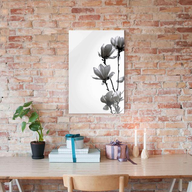 Glass prints flower Herald Of Spring Magnolia Black And White