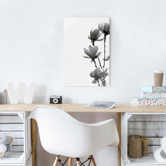 Glass prints black and white Herald Of Spring Magnolia Black And White