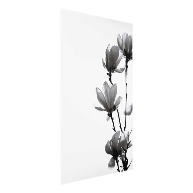 Prints floral Herald Of Spring Magnolia Black And White