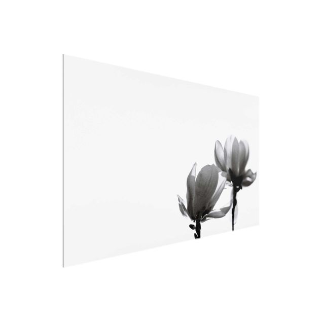Prints floral Herald Of Spring Magnolia Black And White