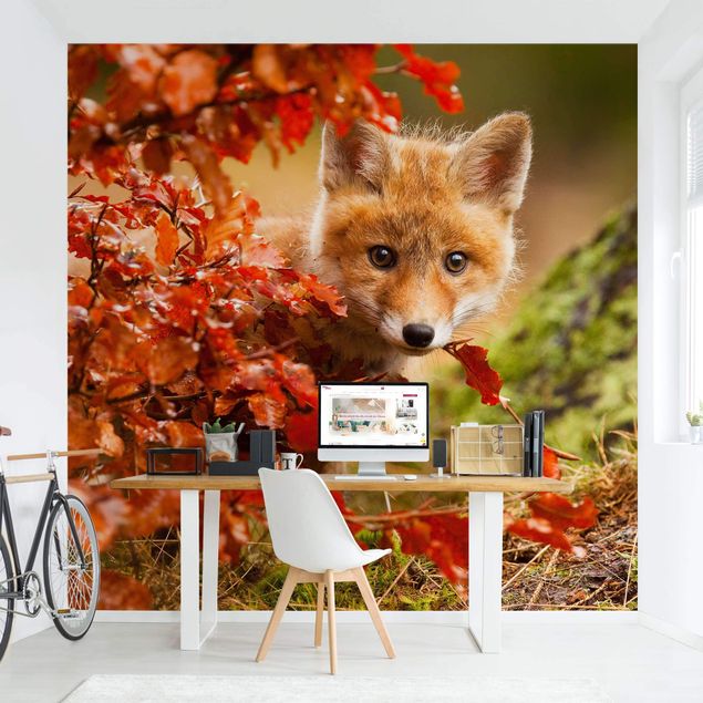 Wallpapers forest Fox In Autumn