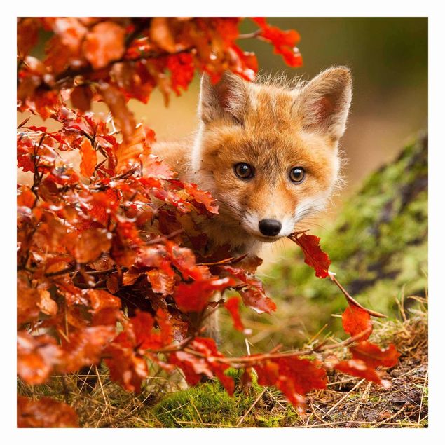 Adhesive wallpaper Fox In Autumn