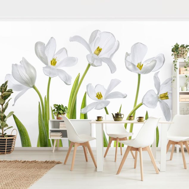 Wallpapers flower Five White Tulips