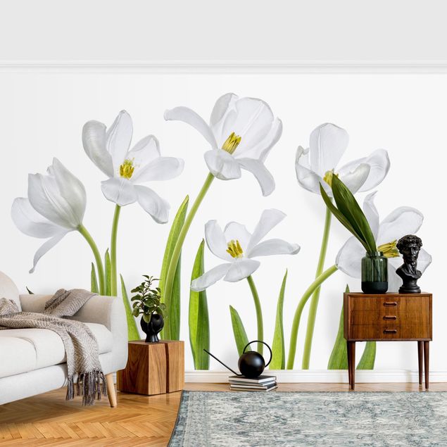 Wallpapers modern Five White Tulips