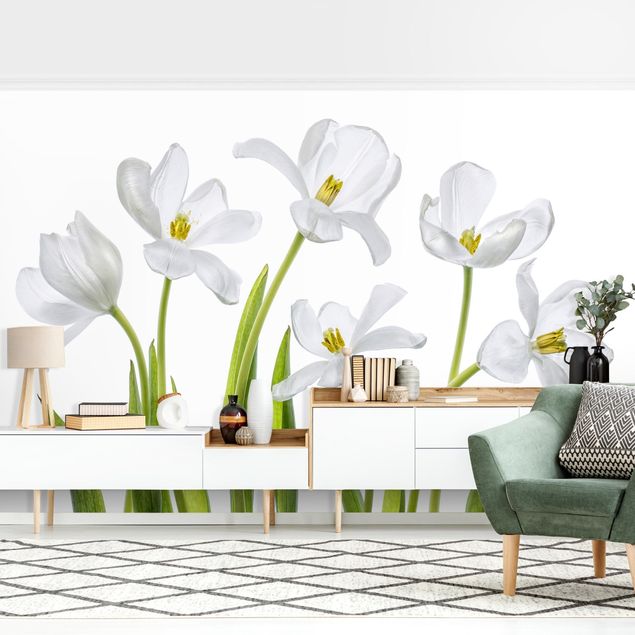 Wallpapers country Five White Tulips
