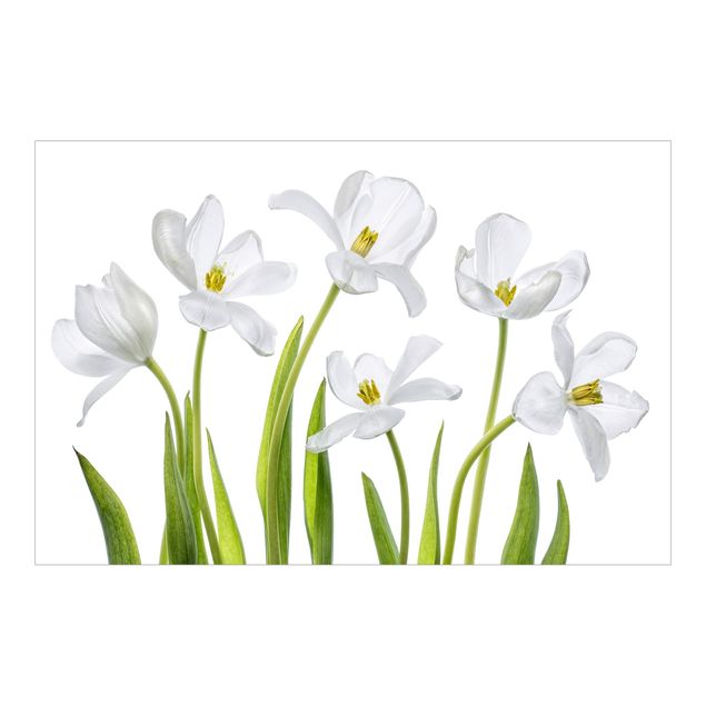 Self adhesive wallpapers Five White Tulips