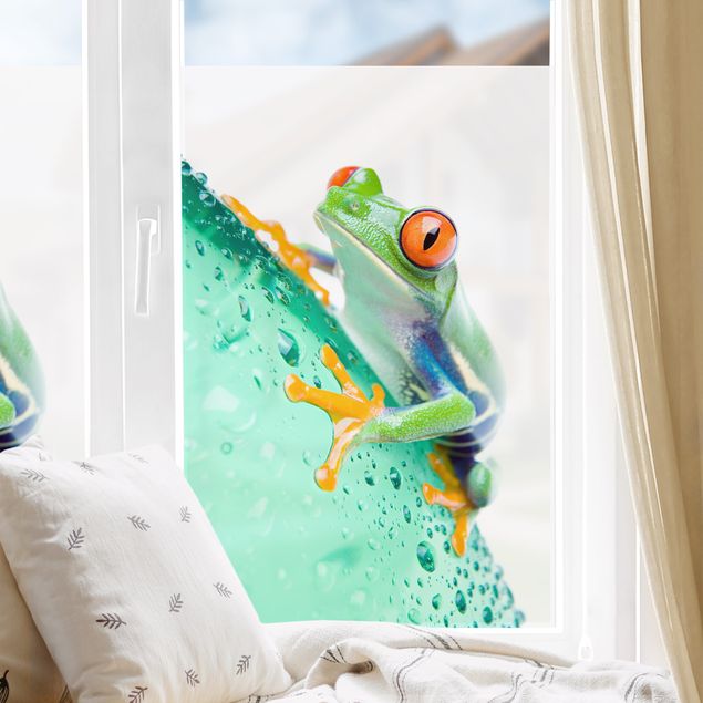Nursery decoration Frog