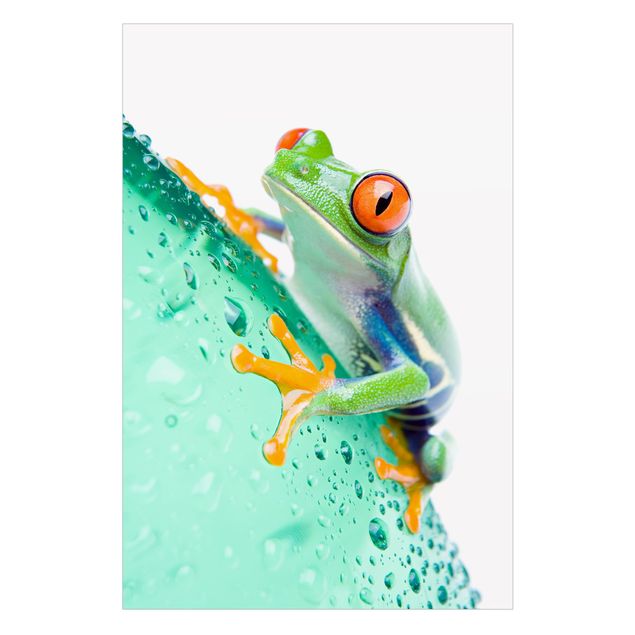 Self adhesive film Frog