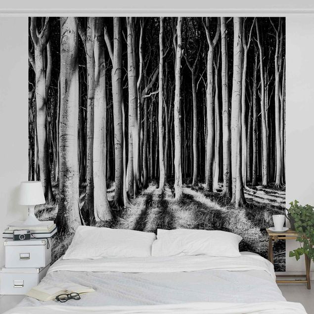 Modern wallpaper designs Spooky Forest