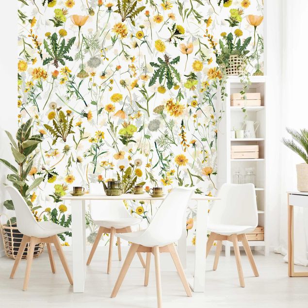 Wallpapers dandelion Yellow Wild Flowers