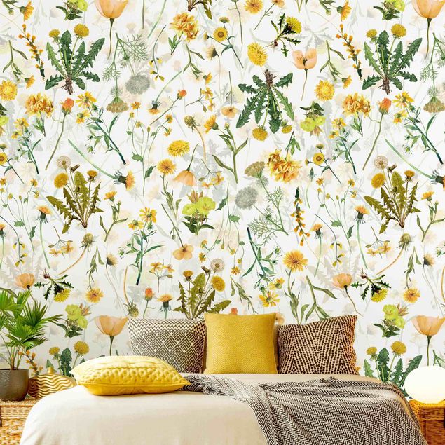 Wallpapers flower Yellow Wild Flowers