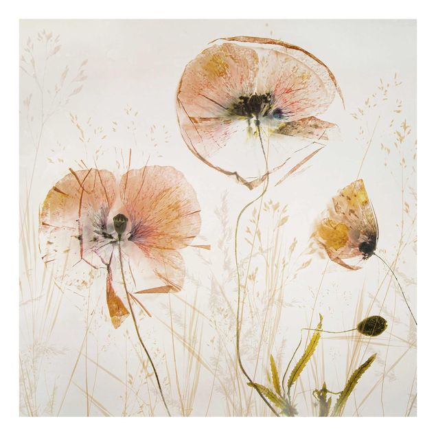 Flower print Dried Poppy Flowers With Delicate Grasses