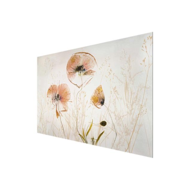 Prints flower Dried Poppy Flowers With Delicate Grasses