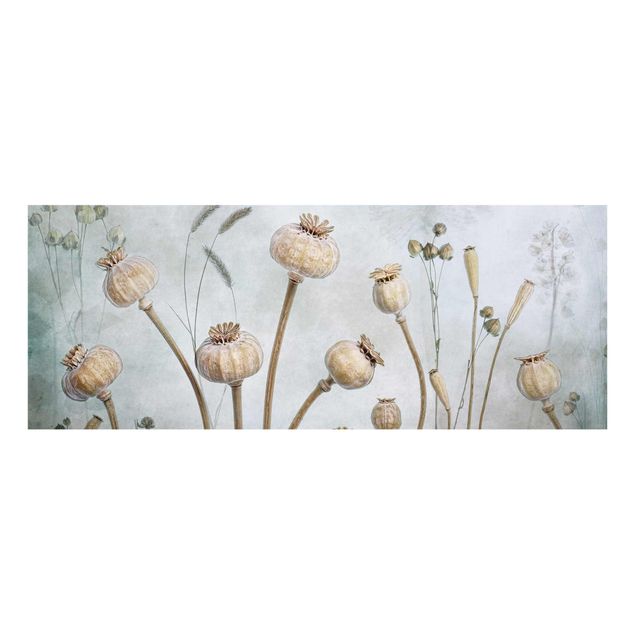 Prints vintage Dried Poppy Flower