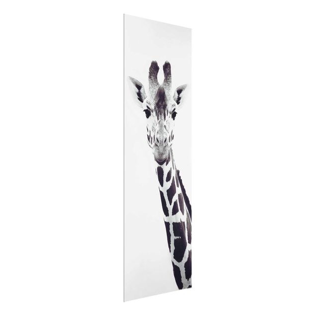 Glass prints pieces Giraffe Portrait In Black And White
