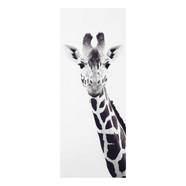 Prints animals Giraffe Portrait In Black And White