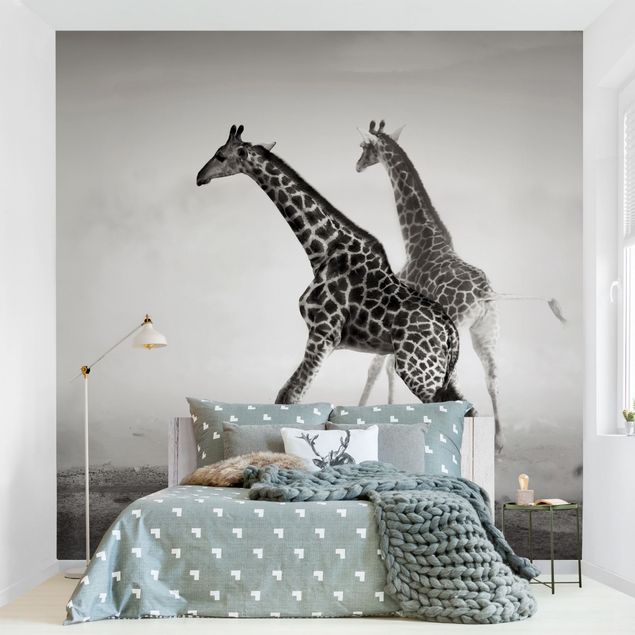 Wallpapers giraffe Giraffe Hunt