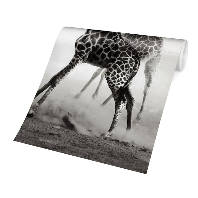 Wallpapers animals Giraffe Hunt