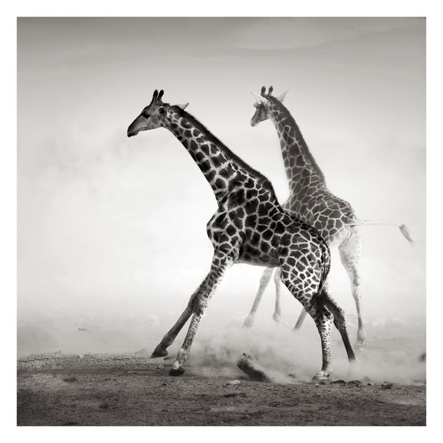 Contemporary wallpaper Giraffe Hunt