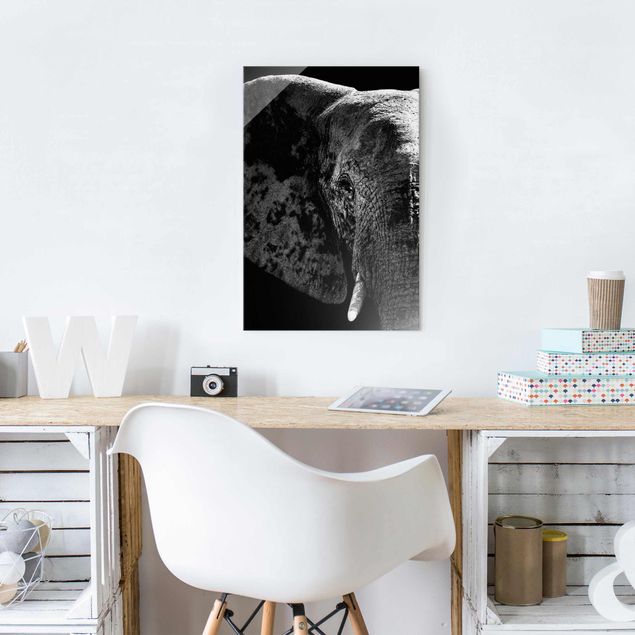 Glass prints black and white African Elephant black & white
