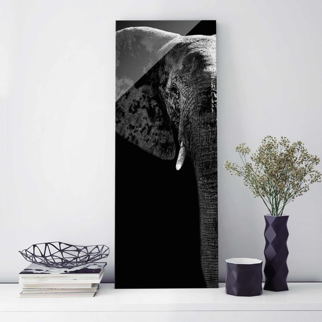 Kitchen African Elephant black & white