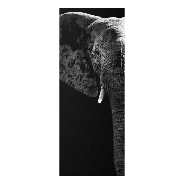 Animal canvas African Elephant black & white