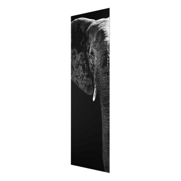 Black and white wall art African Elephant black & white