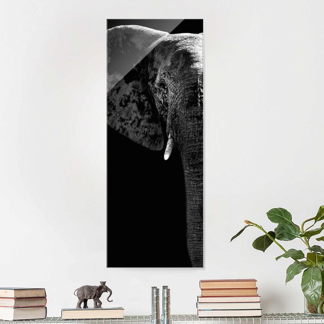 Prints elefant African Elephant black & white