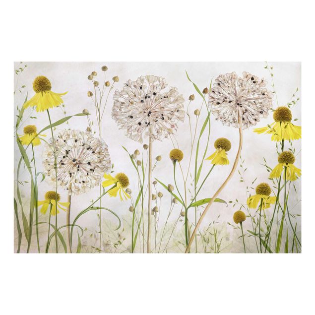 Flower print Allium And Helenium Illustration