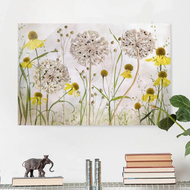 Glass prints dandelion clock Allium And Helenium Illustration