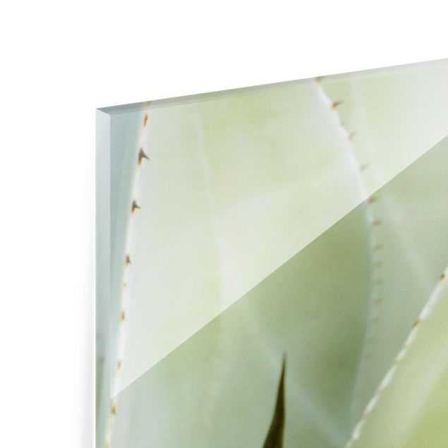 Glas Magnettafel Aloe