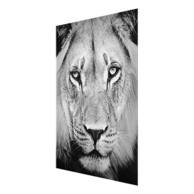 Black and white art Old Lion