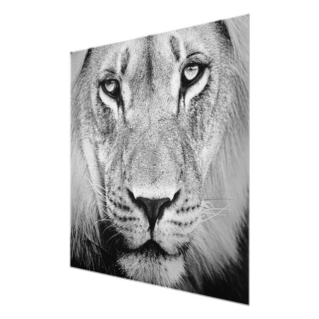 Black and white art Old Lion