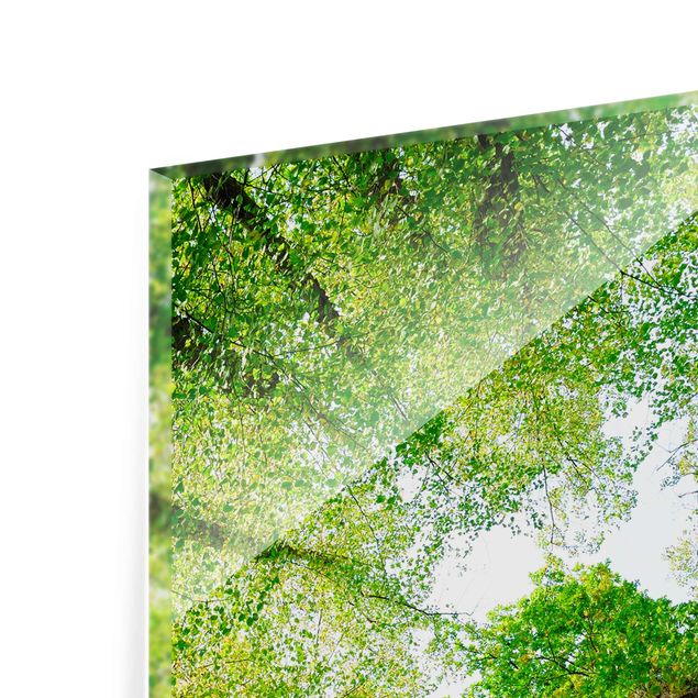 Green canvas wall art Trees Of Life
