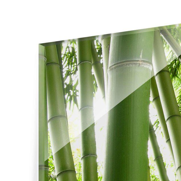 Prints Bamboo Trees No.1