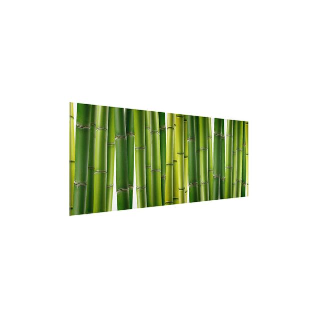 Floral canvas Bamboo Plants