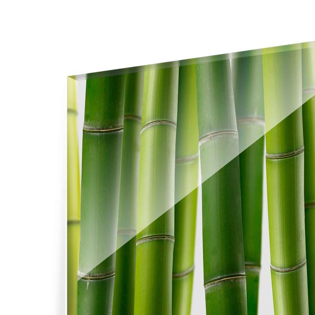 Prints Bamboo Plants
