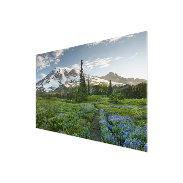 Glass prints flower Mountain View Meadow Path