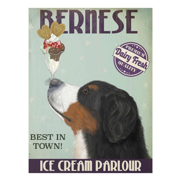 Prints modern Bernese Mountain Dog With Ice